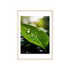 Poster mit Holzrahmen, Art.-Nr. NA 00115 P