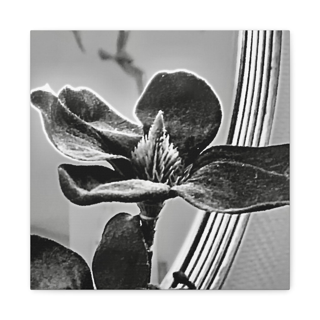 Wandbild Druck, Art.-Nr. AP 00113 W