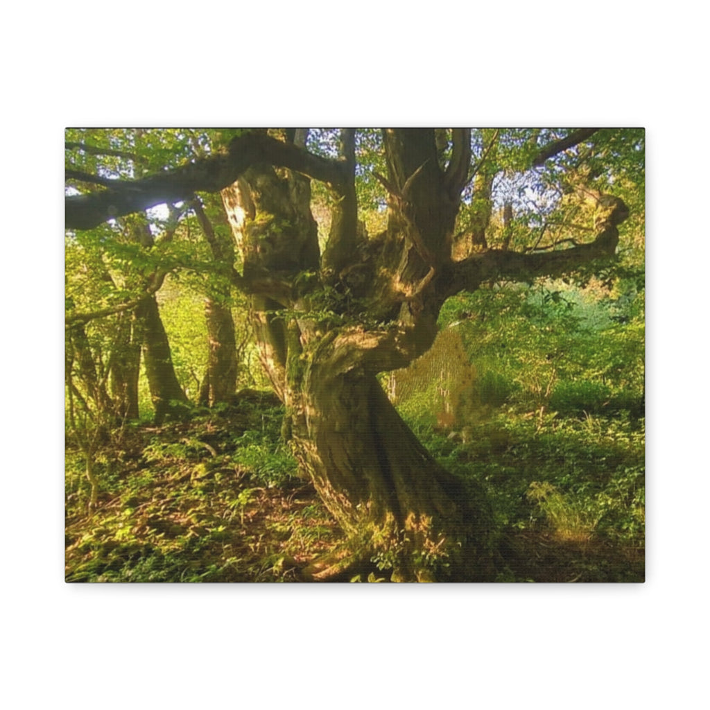 Wandbild Druck, Art.-Nr. NA 00105 W