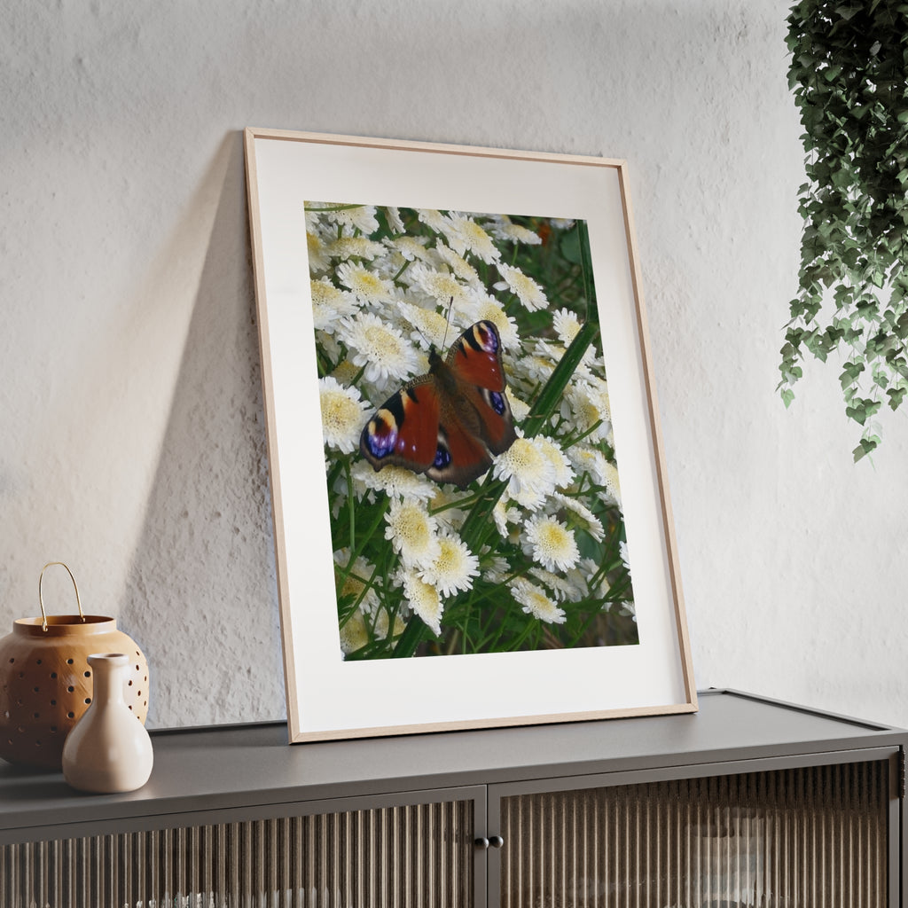 Posters with Wooden Frame