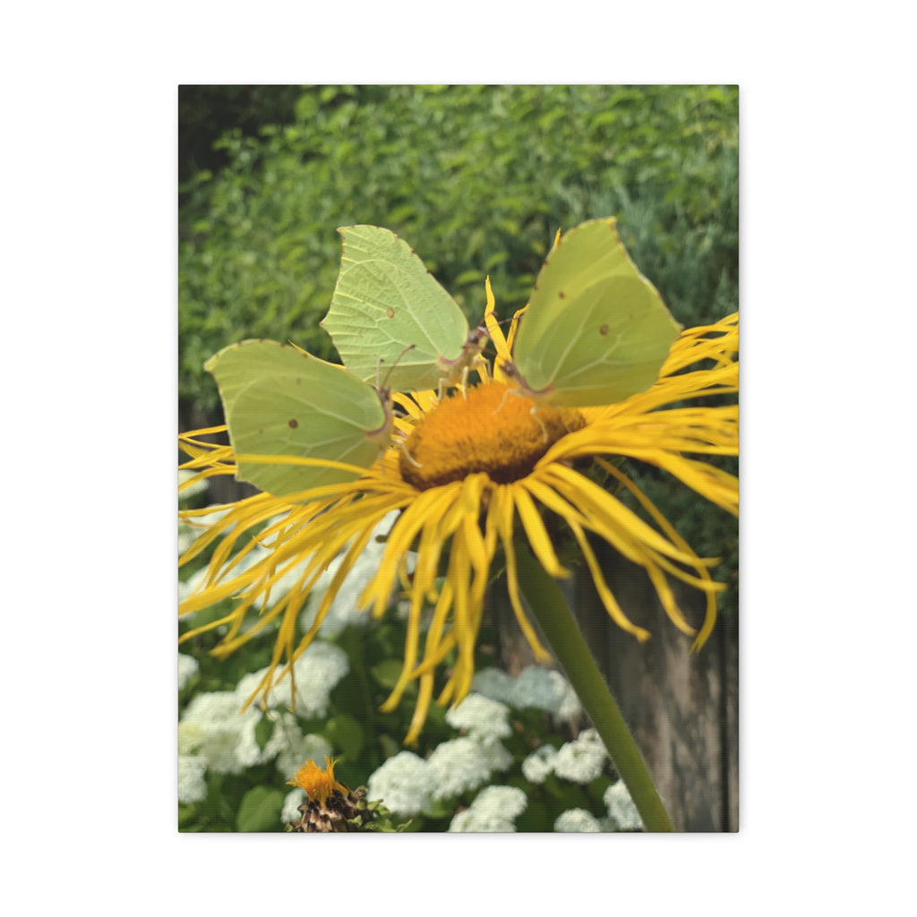 Wandbild Druck, Art.-Nr. NA 00137 W