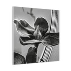 Wandbild Druck, Art.-Nr. AP 00113 W