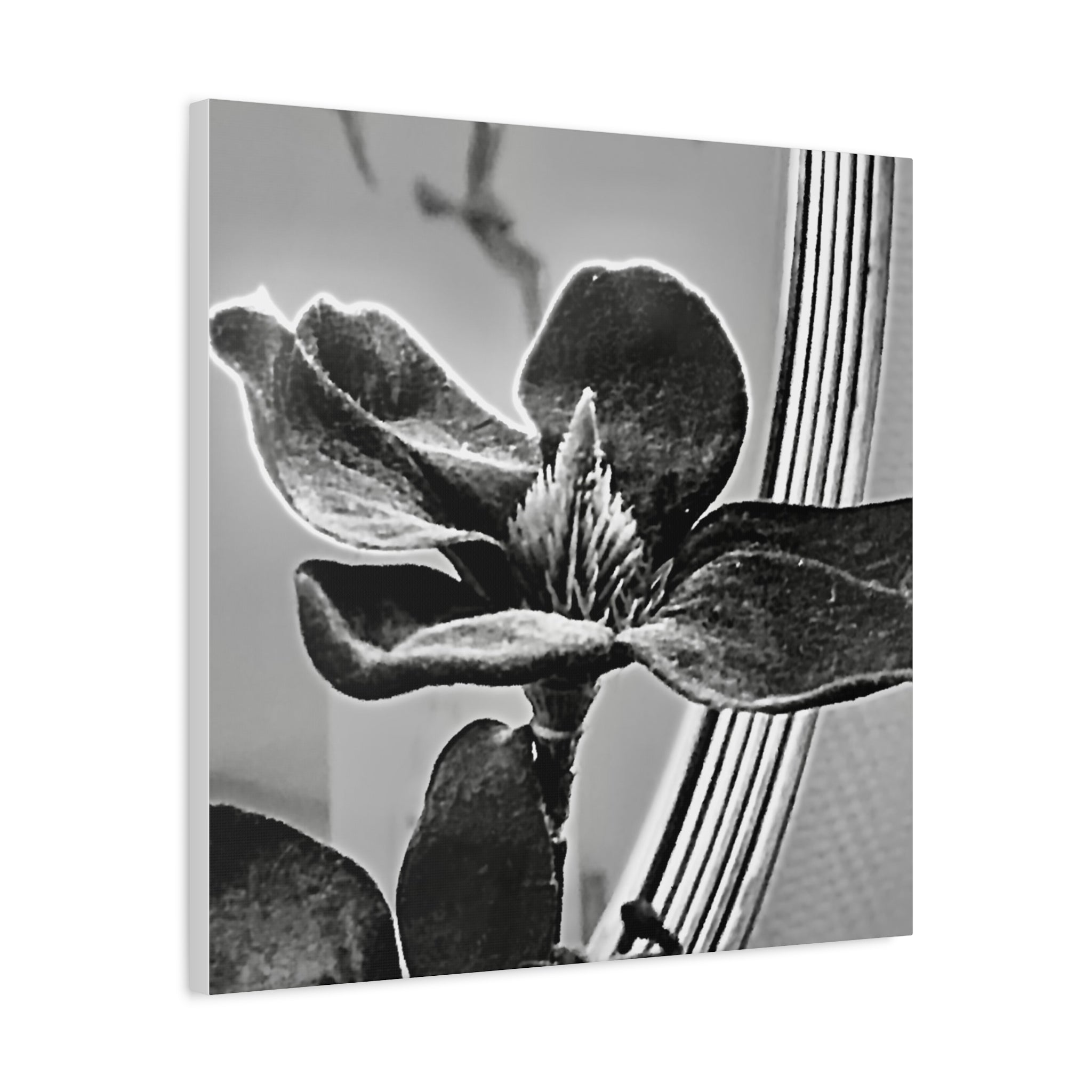 Wandbild Druck, Art.-Nr. AP 00113 W