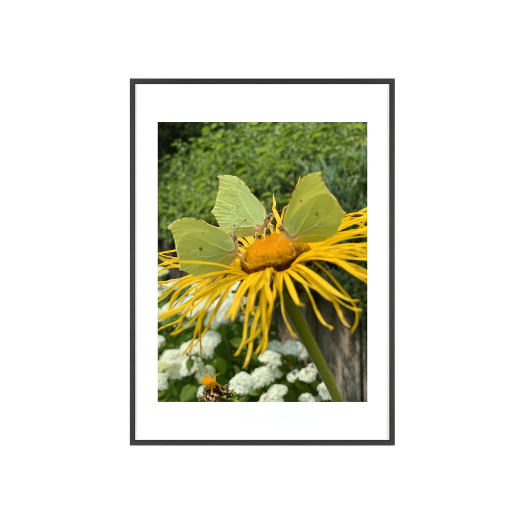 Poster mit Holzrahmen, Art.-Nr. NA 00137 P