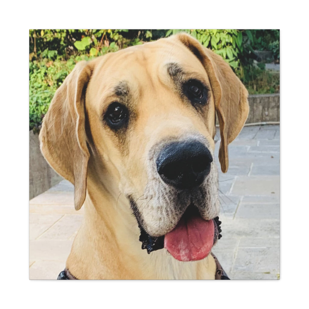 Wandbild Druck, Art.-Nr. T 00103 W