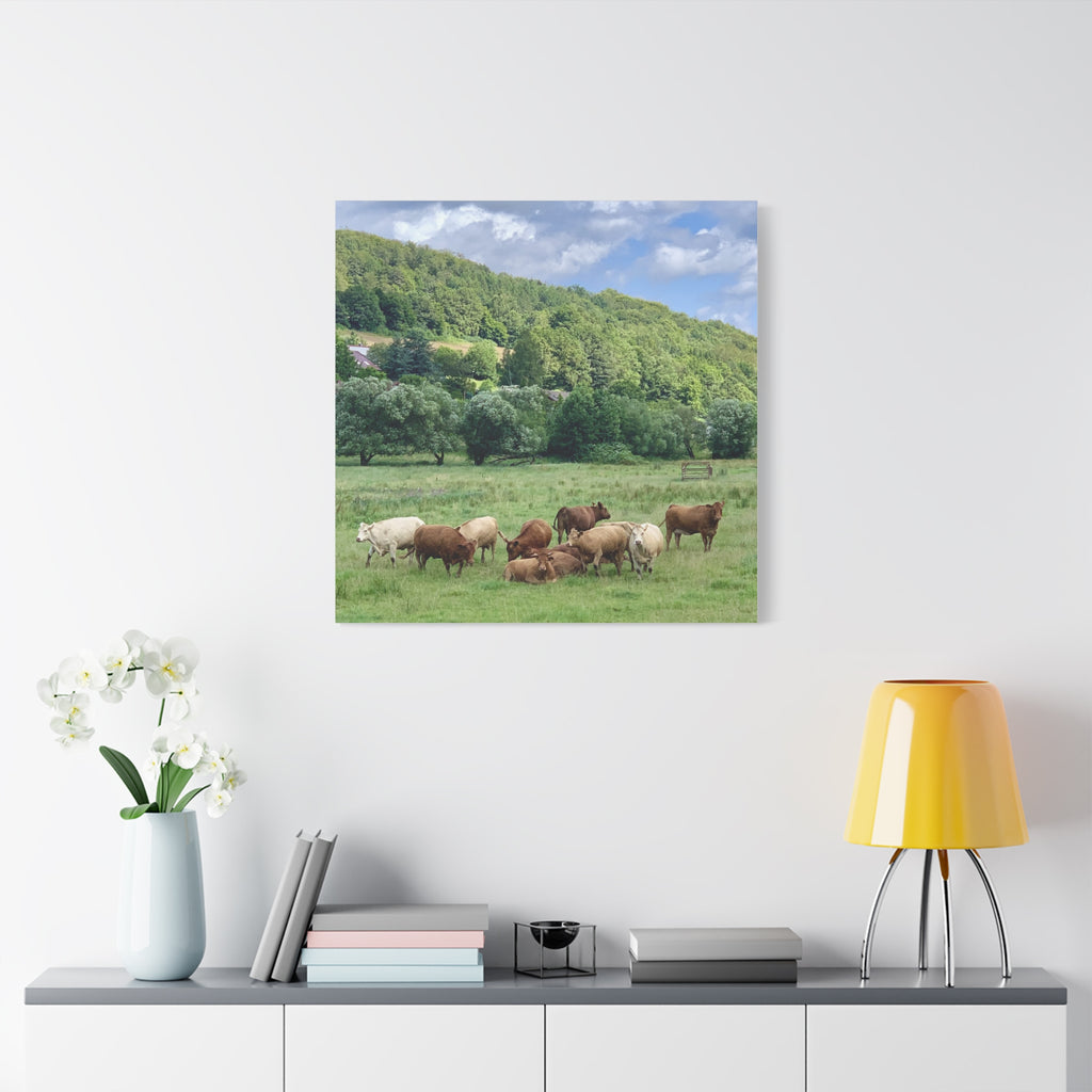 Wandbild Druck, Art.-Nr. T 00105 W