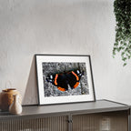 Poster mit Holzrahmen, Art.-Nr. T 00104 P