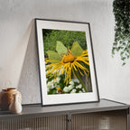 Poster mit Holzrahmen, Art.-Nr. NA 00137 P