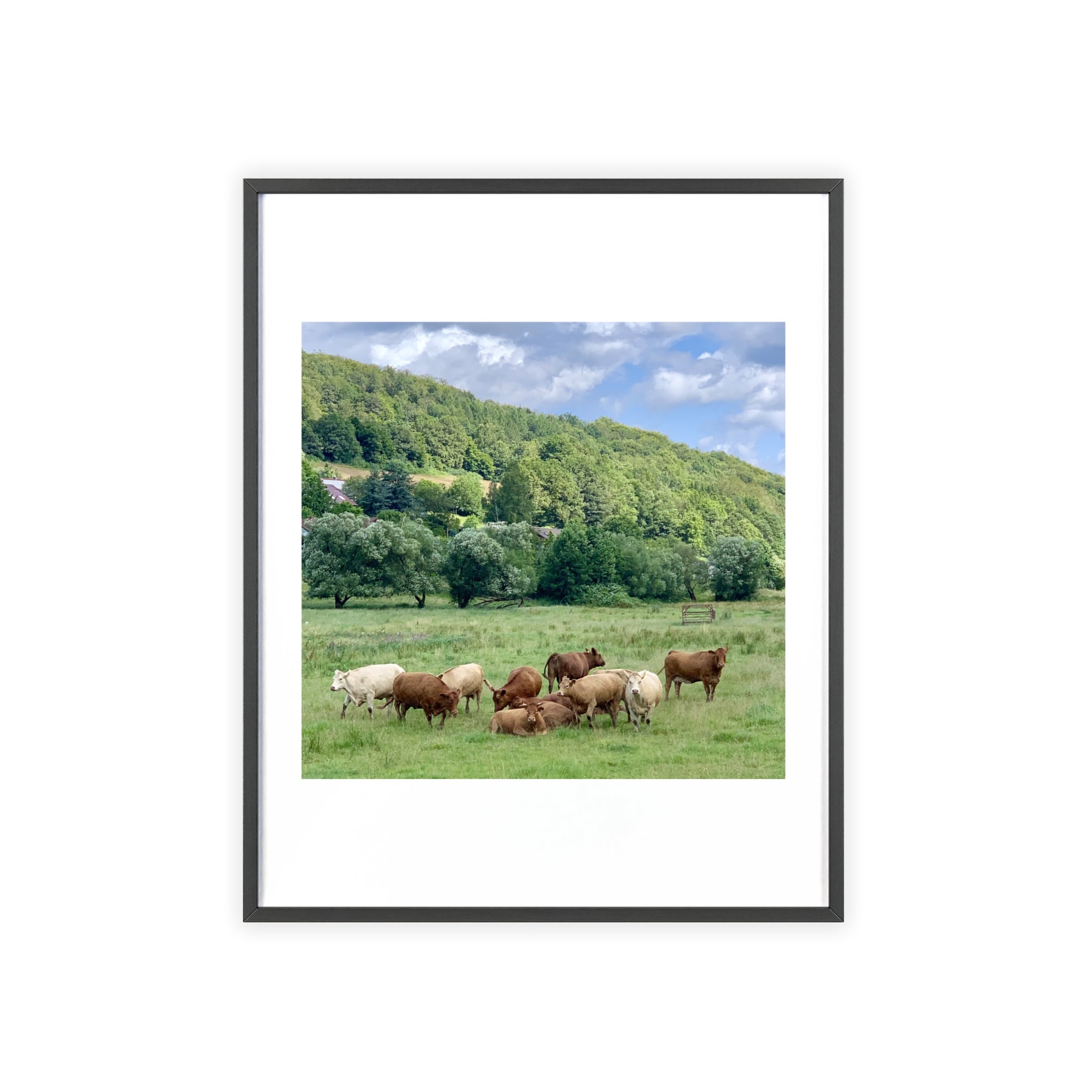 Poster mit Holzrahmen, Art.-Nr. T 00105 P