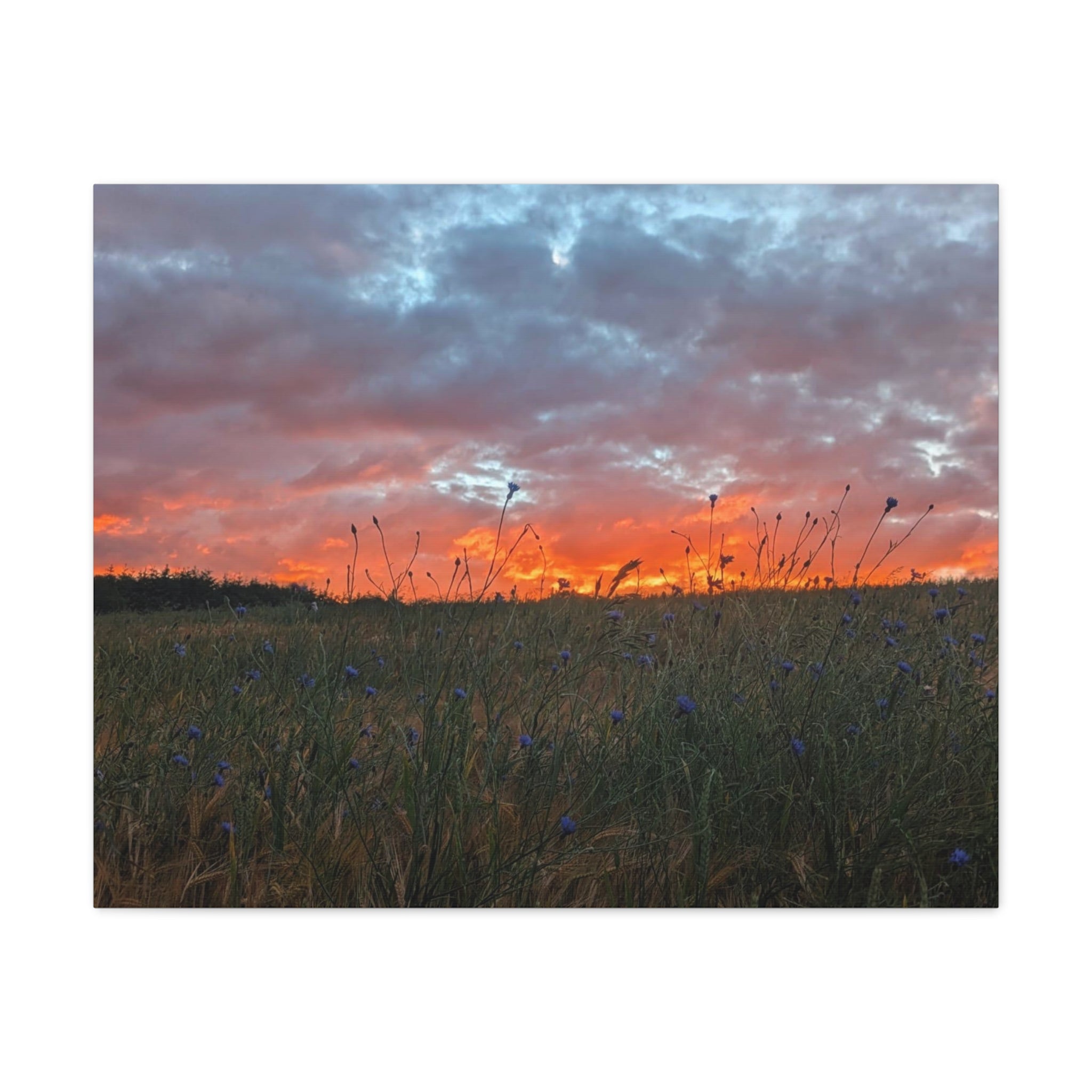 Wandbild Druck, Art.-Nr. NA 00126 W