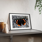 Poster mit Holzrahmen, Art.-Nr. T 00104 P