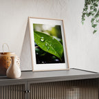 Poster mit Holzrahmen, Art.-Nr. NA 00115 P