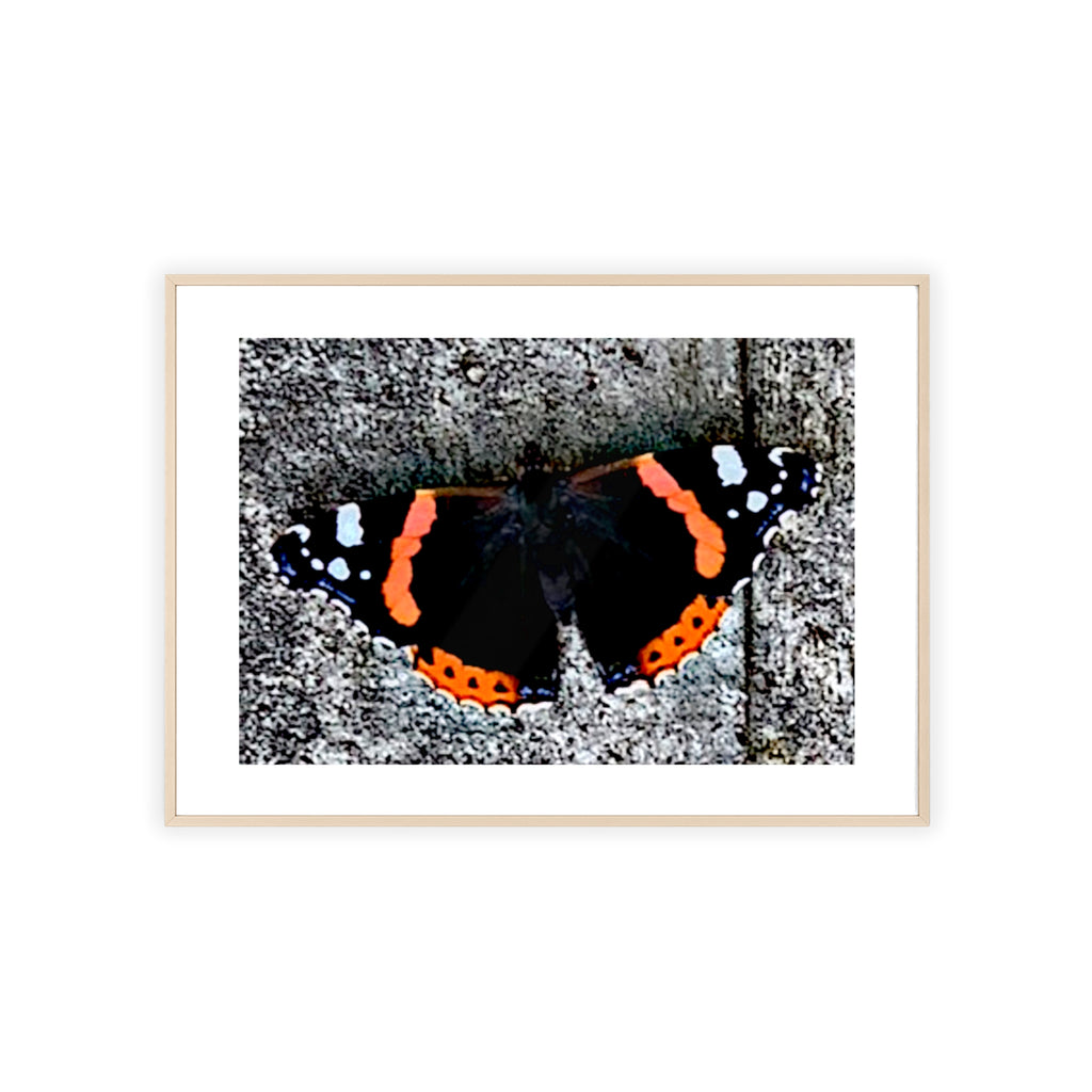 Poster mit Holzrahmen, Art.-Nr. T 00104 P