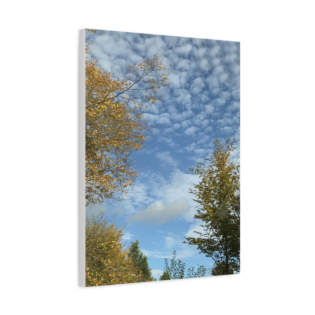 Wandbild Druck, Art.-Nr. NA 00119 W