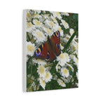 Wandbild Druck, Art.-Nr. T 00101 W