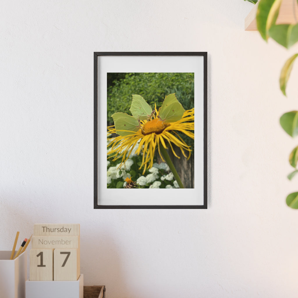 Poster mit Holzrahmen, Art.-Nr. NA 00137 P