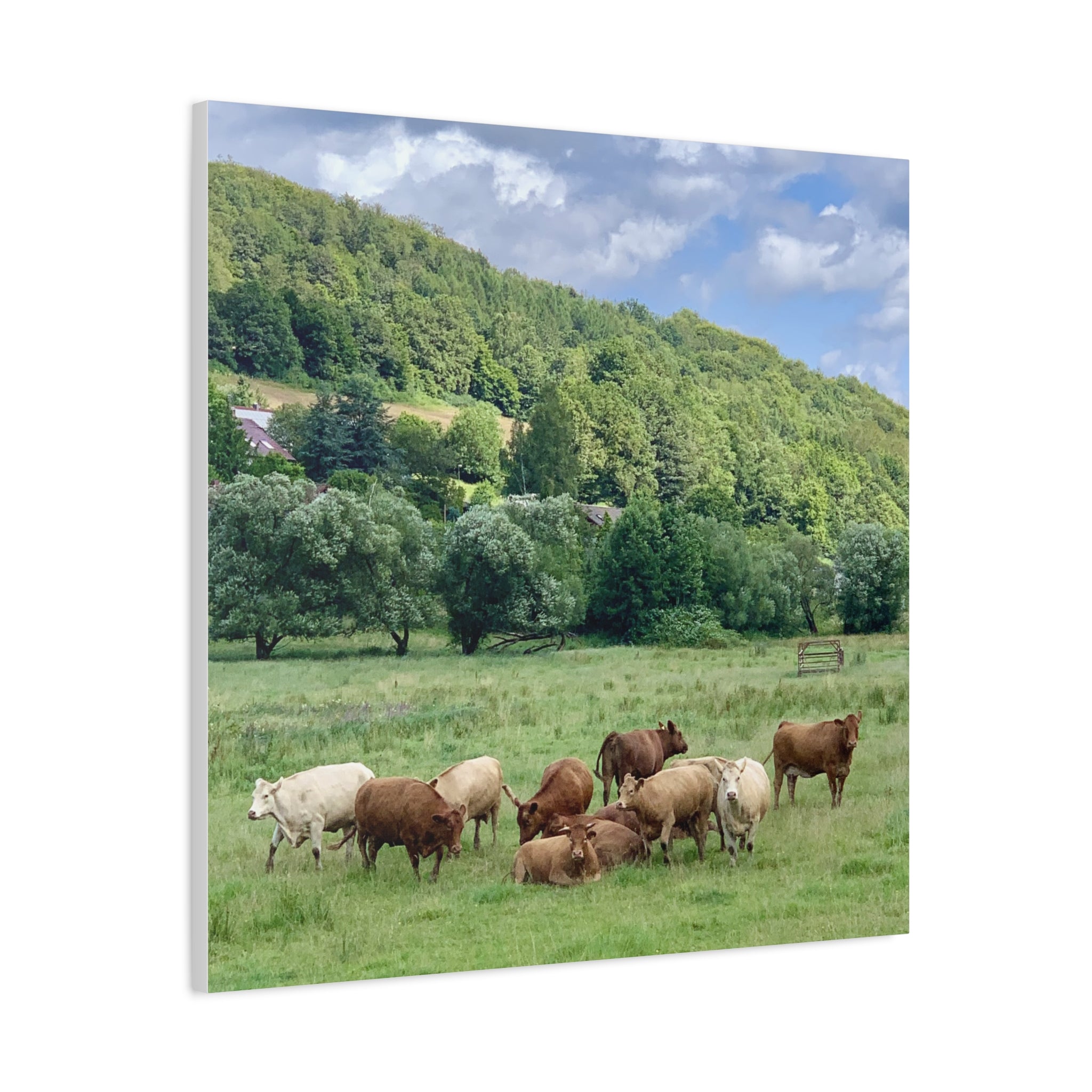 Wandbild Druck, Art.-Nr. T 00105 W