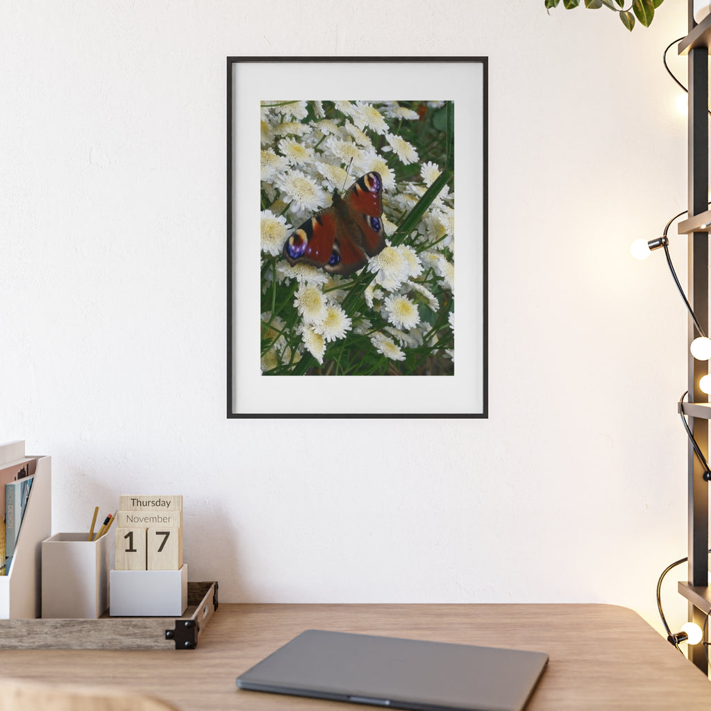 Posters with Wooden Frame