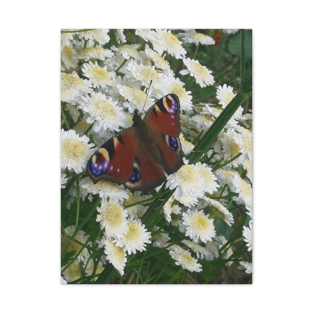 Wandbild Druck, Art.-Nr. T 00101 W