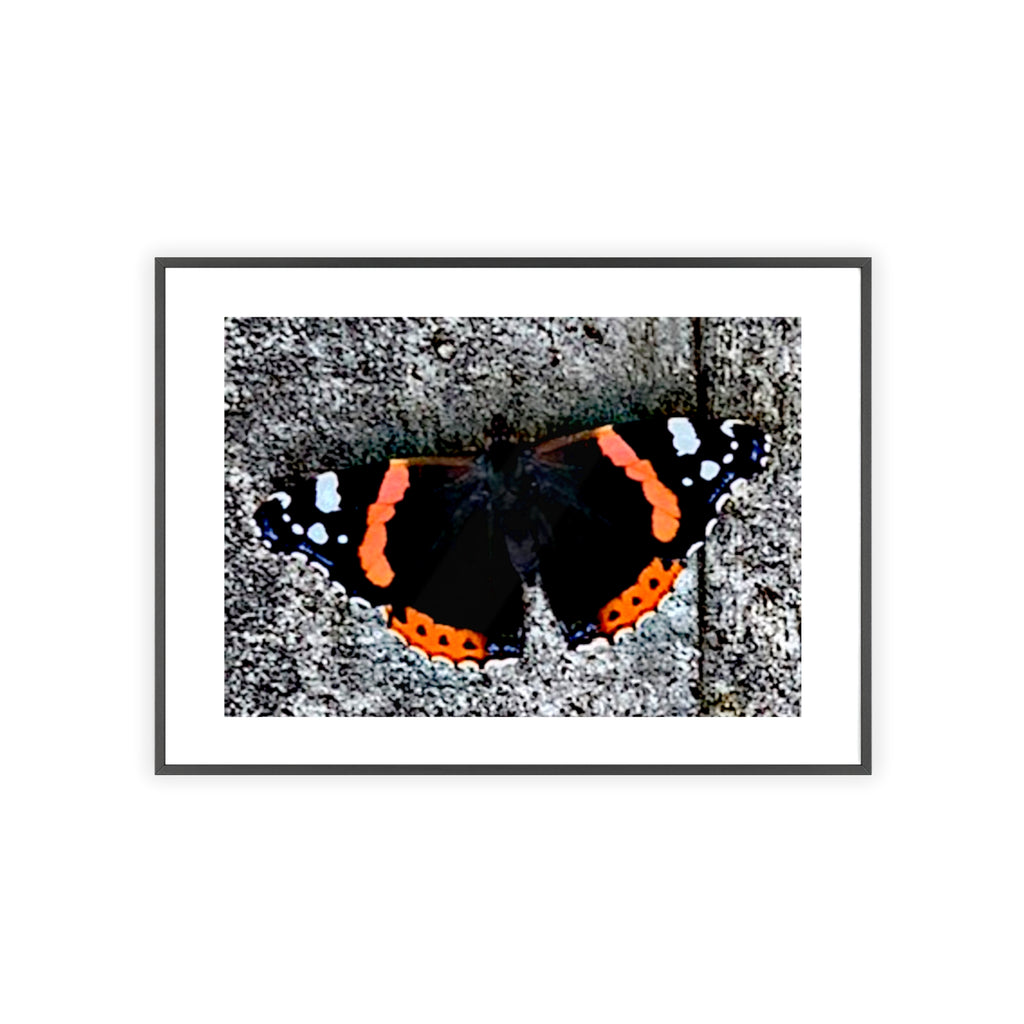 Poster mit Holzrahmen, Art.-Nr. T 00104 P