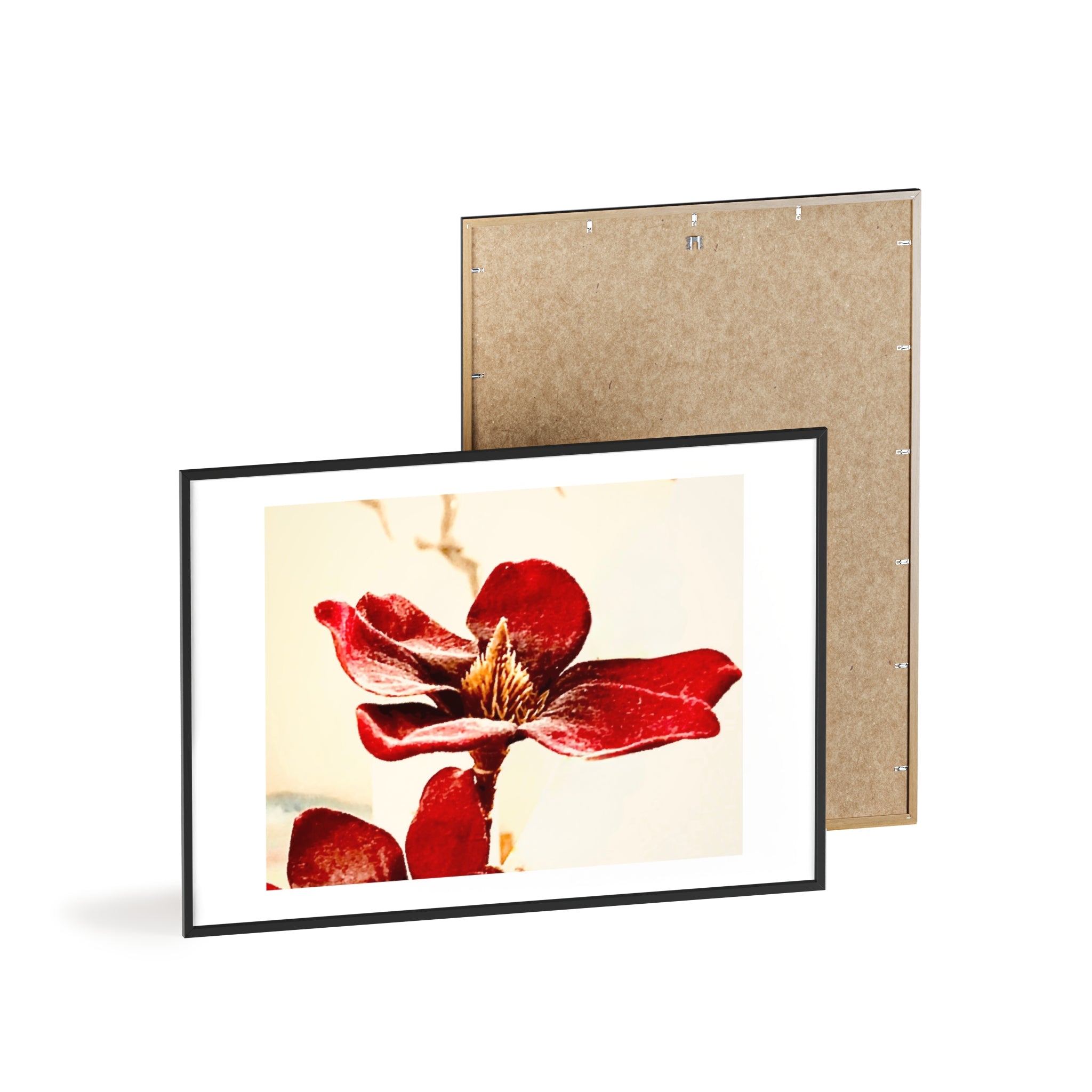 Poster  mit Holzrahmen, Art.-Nr. AP 00114 P
