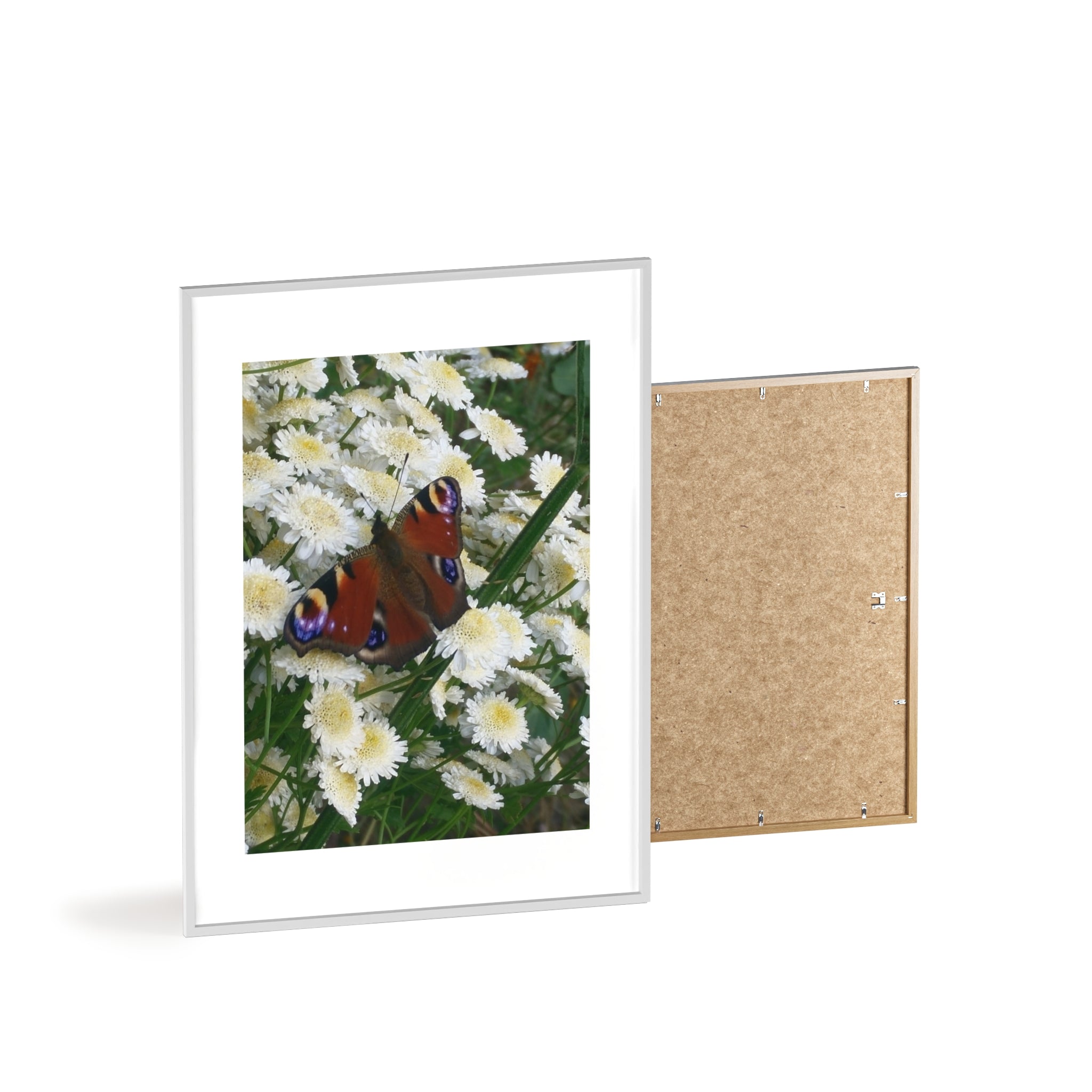 Posters with Wooden Frame