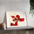 Poster  mit Holzrahmen, Art.-Nr. AP 00114 P