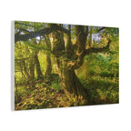 Wandbild Druck, Art.-Nr. NA 00105 W