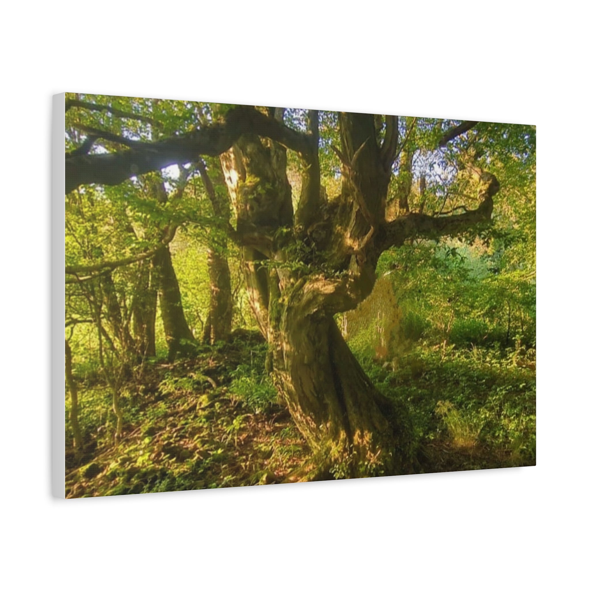 Wandbild Druck, Art.-Nr. NA 00105 W