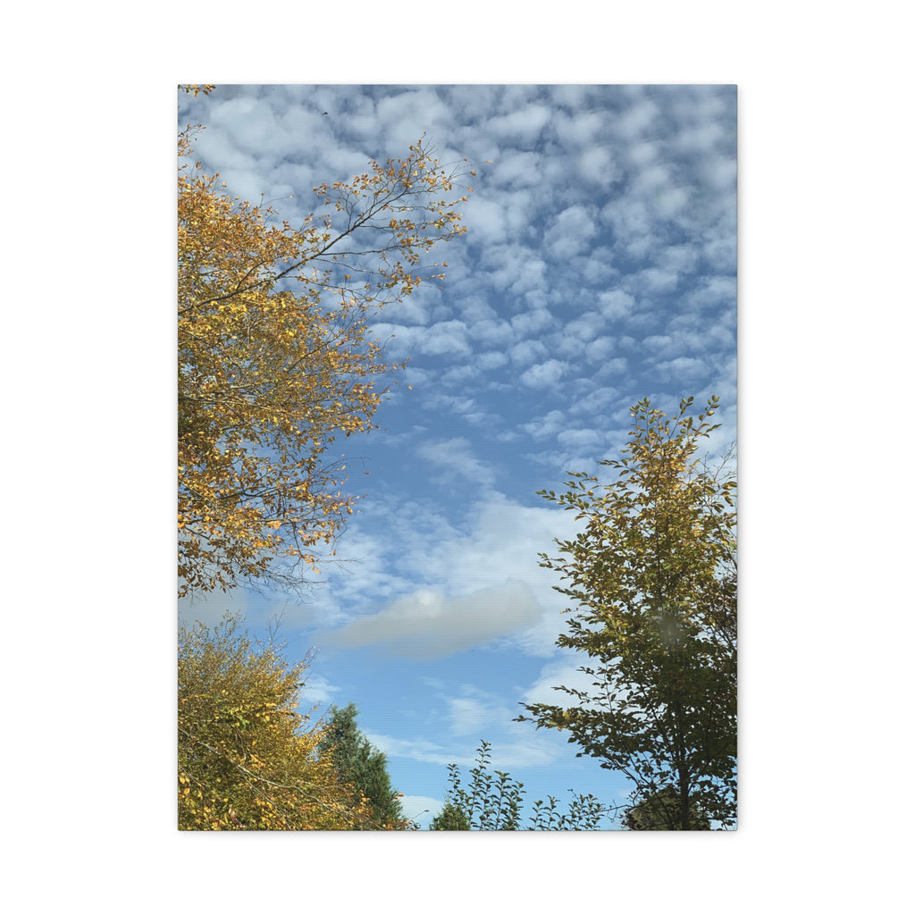 Wandbild Druck, Art.-Nr. NA 00119 W