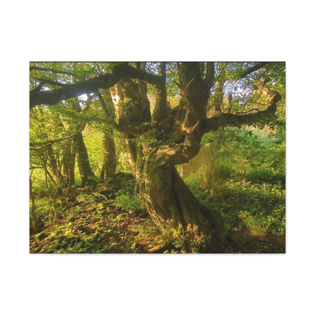 Wandbild Druck, Art.-Nr. NA 00105 W