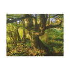 Wandbild Druck, Art.-Nr. NA 00105 W