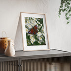 Posters with Wooden Frame