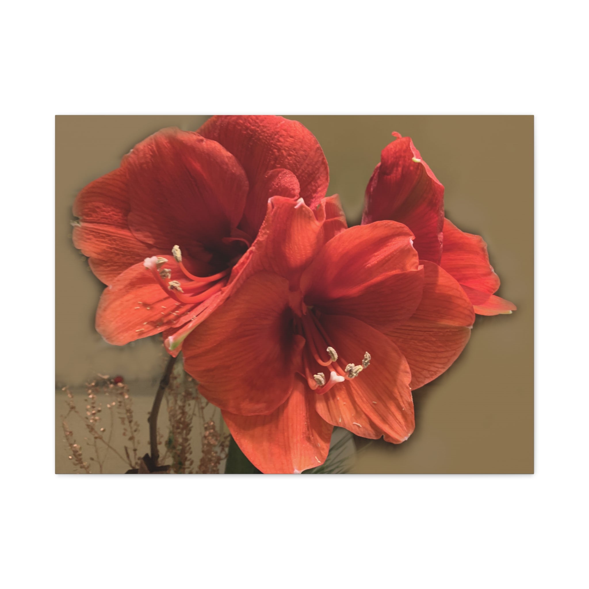 Wandbild Druck, Art.-Nr. NA 00111 W