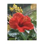 Wandbild Druck, Art.-Nr. NA 00107 W