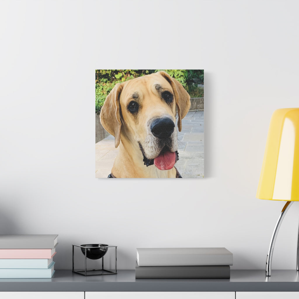 Wandbild Druck, Art.-Nr. T 00103 W