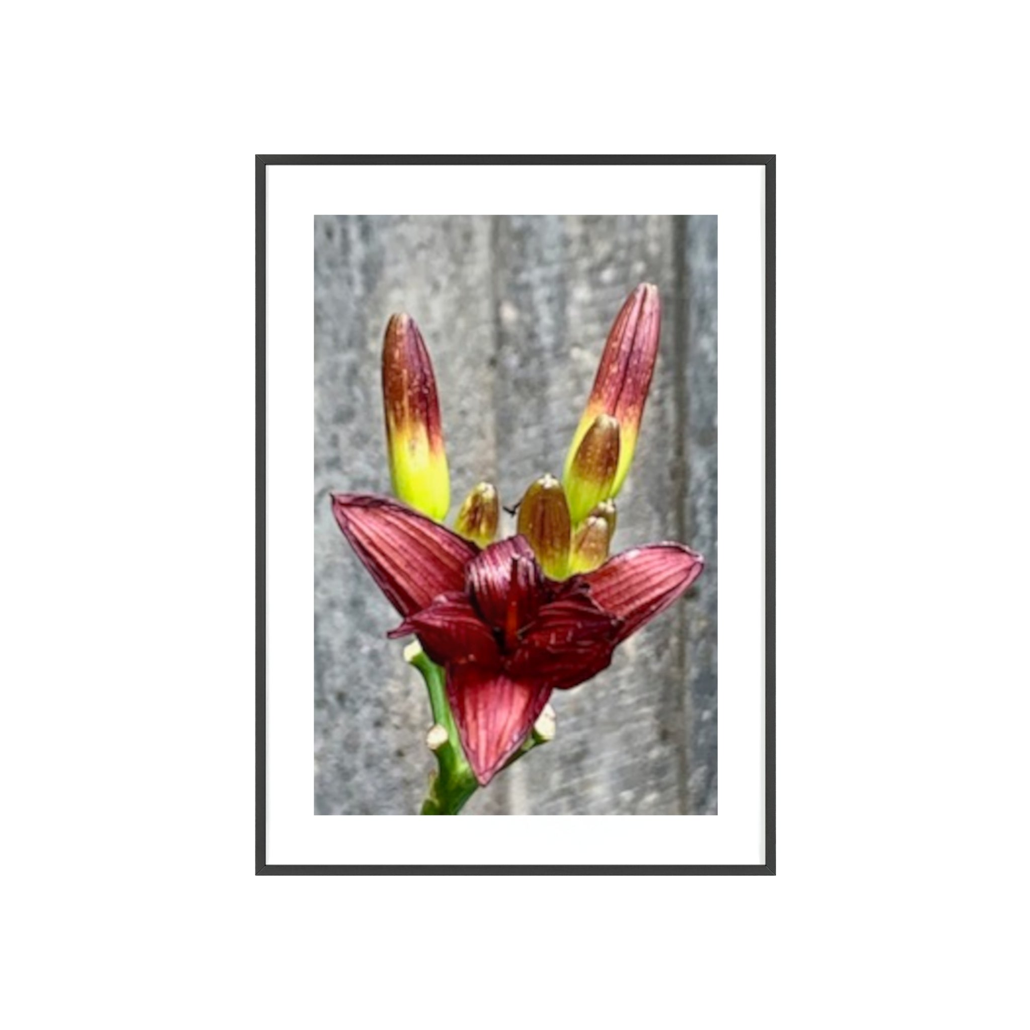 Poster mit Holzrahmen, Art.-Nr. NA 00132 P