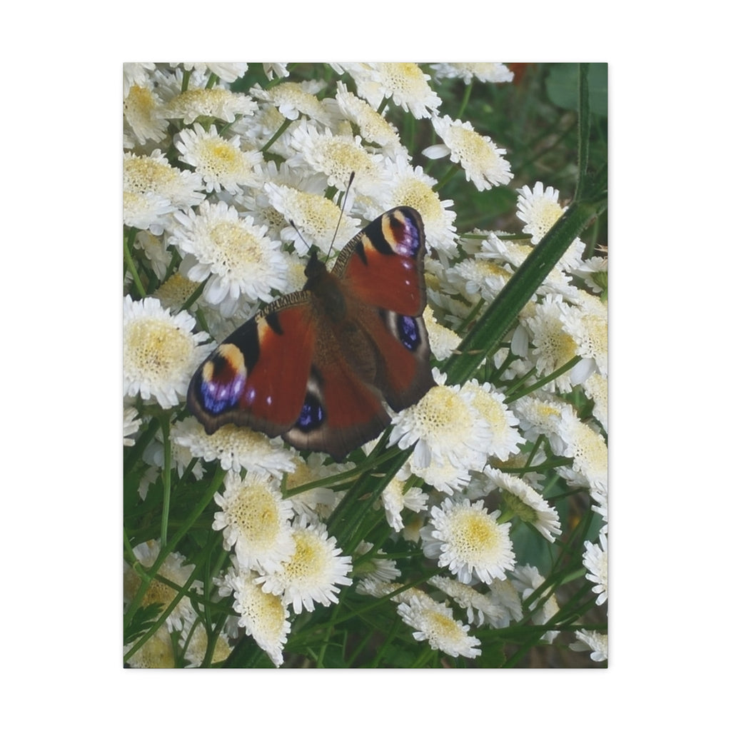 Wandbild Druck, Art.-Nr. T 00101 W