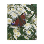 Wandbild Druck, Art.-Nr. T 00101 W