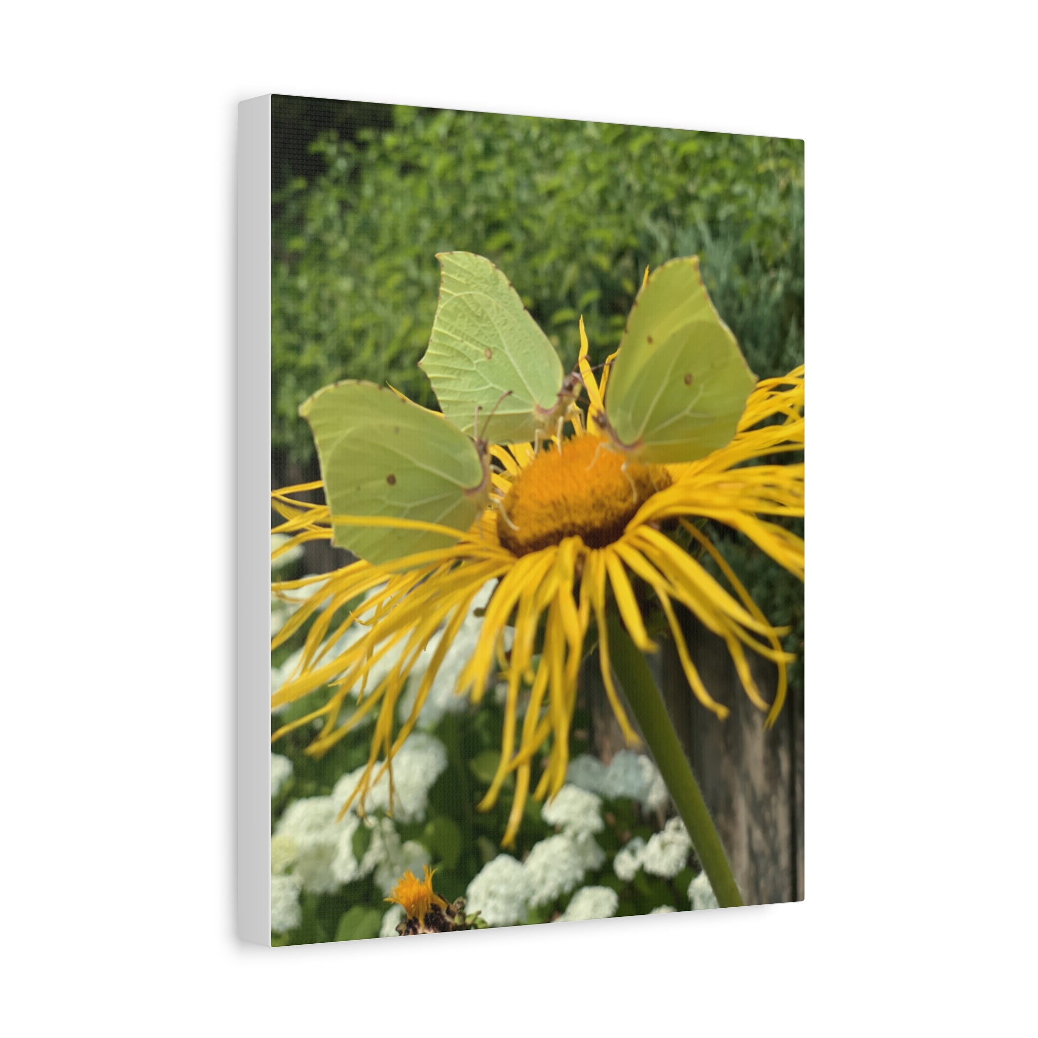 Wandbild Druck, Art.-Nr. NA 00137 W