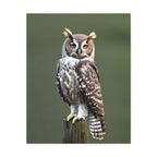 Wandbild Druck, Art.-Nr. T 00107 W