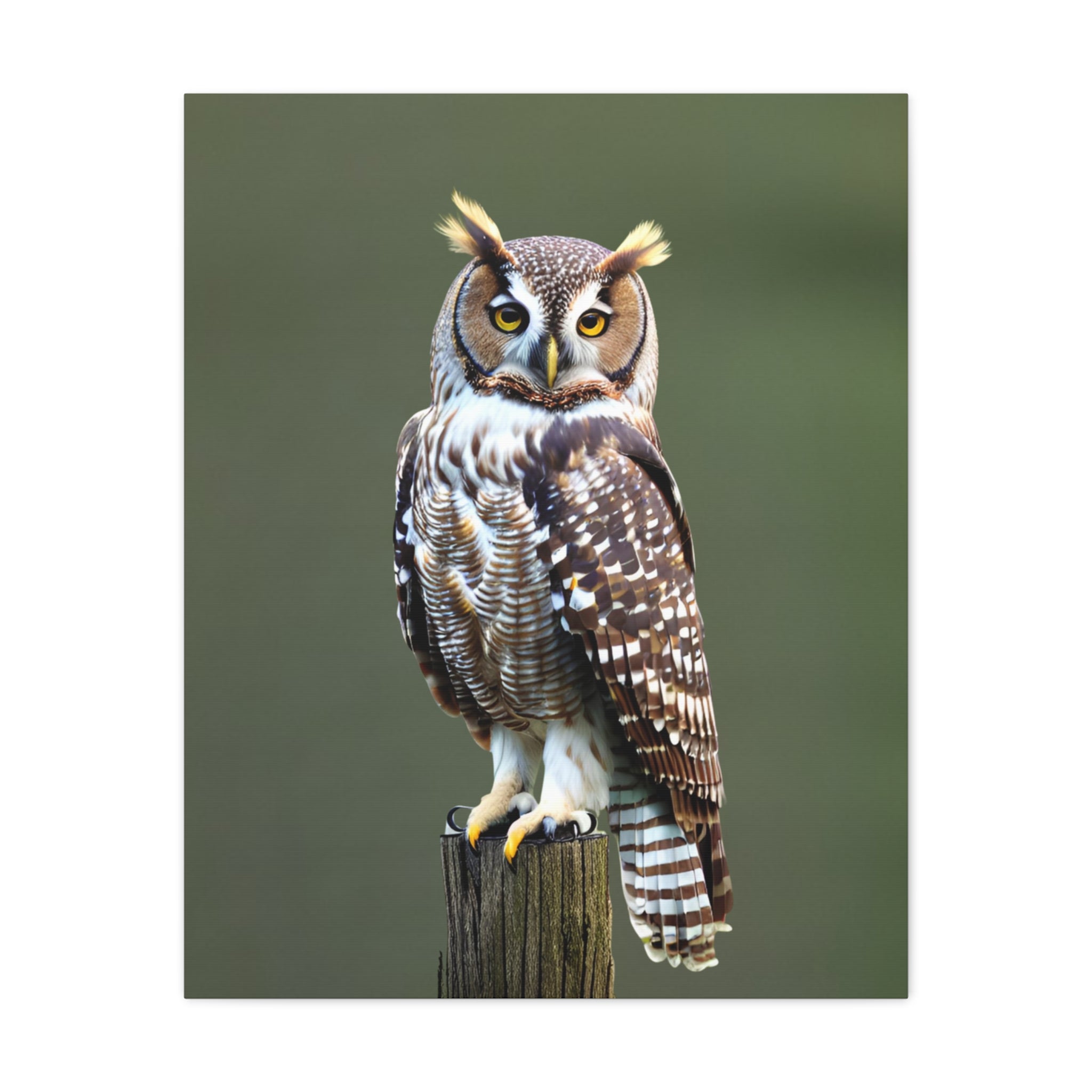 Wandbild Druck, Art.-Nr. T 00107 W