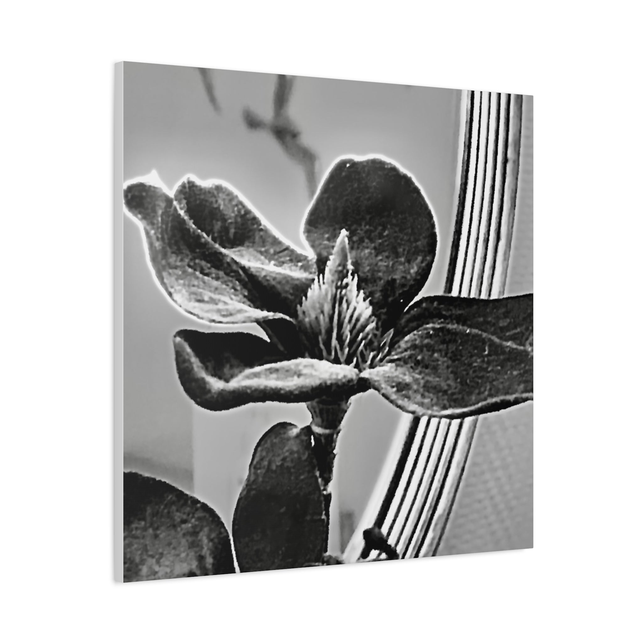 Wandbild Druck, Art.-Nr. AP 00113 W