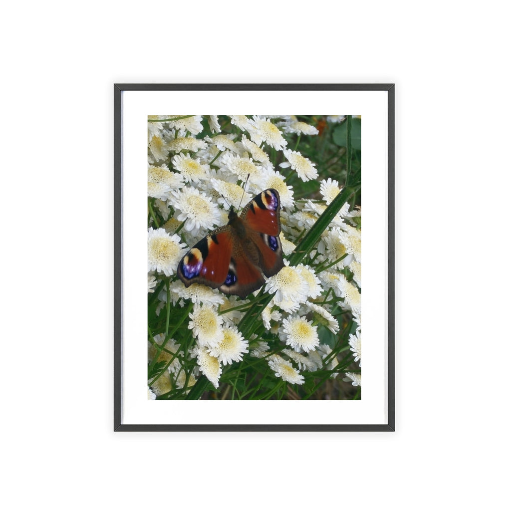 Posters with Wooden Frame