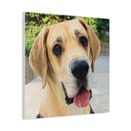 Wandbild Druck, Art.-Nr. T 00103 W