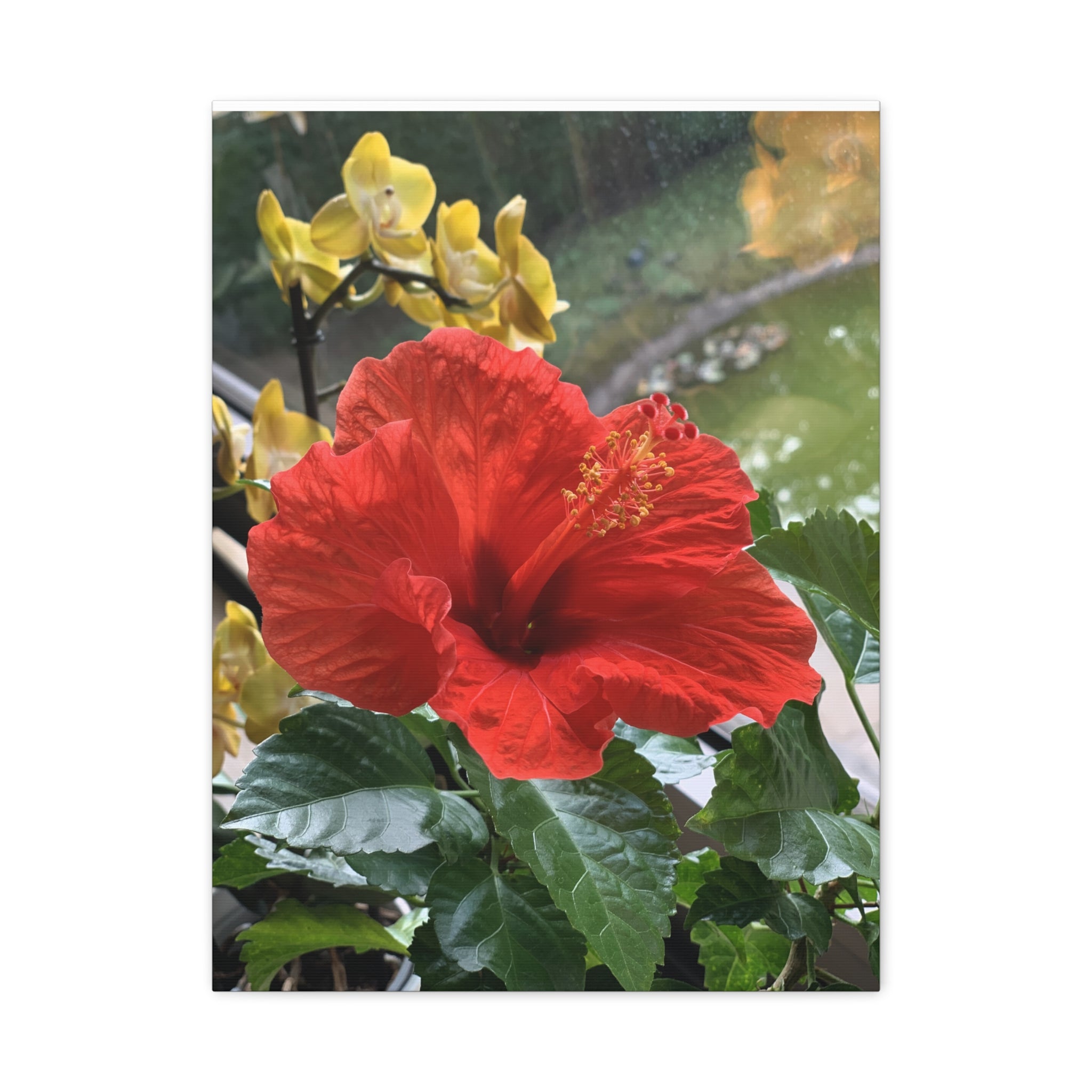 Wandbild Druck, Art.-Nr. NA 00107 W