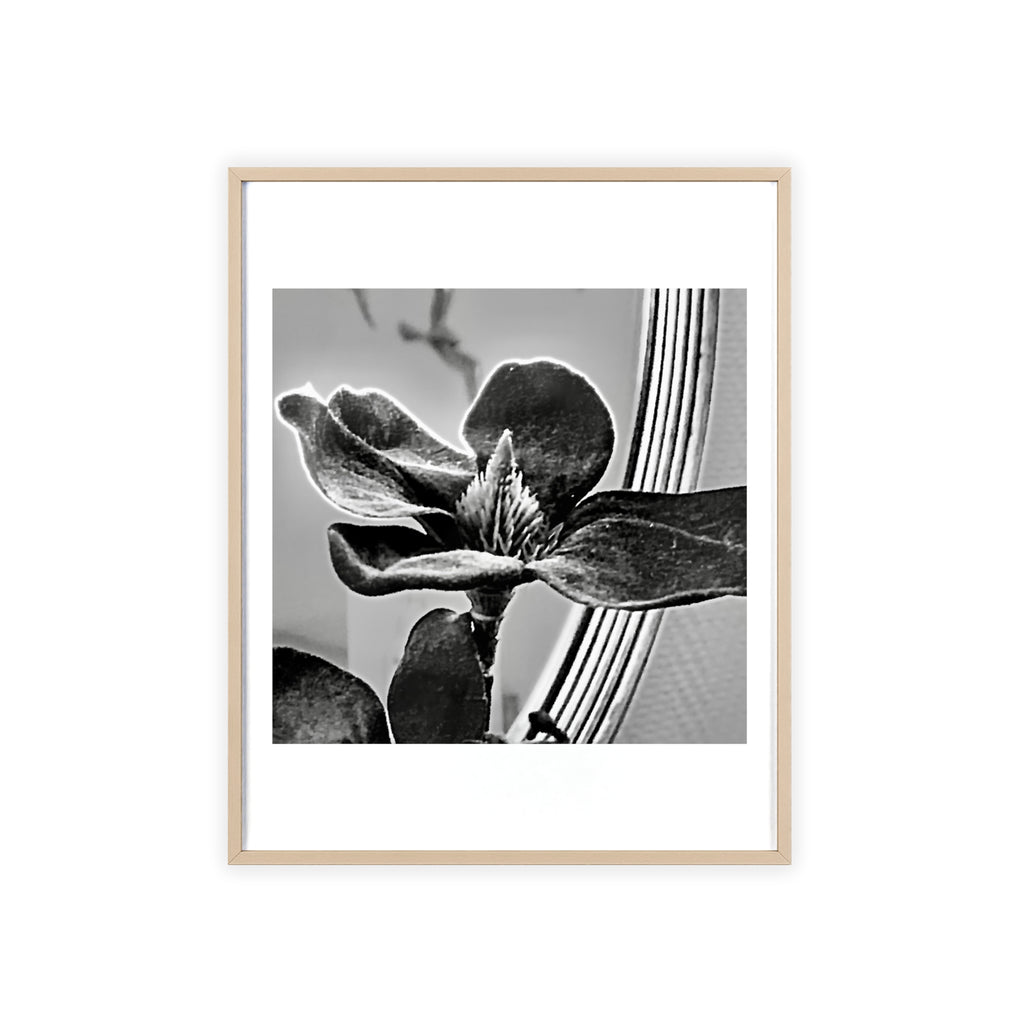 Poster mit Holzrahmen, Art.-Nr. AP 00113 P