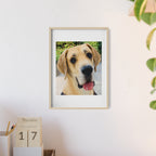 Poster mit Holzrahmen, Art.-Nr. T 00103 P