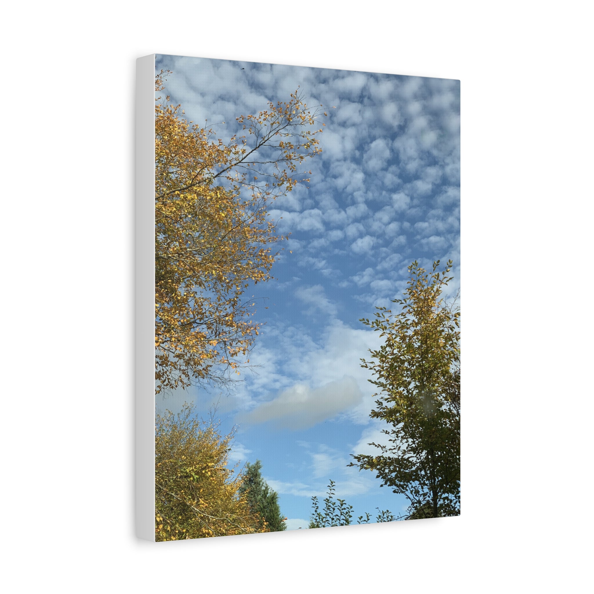 Wandbild Druck, Art.-Nr. NA 00119 W