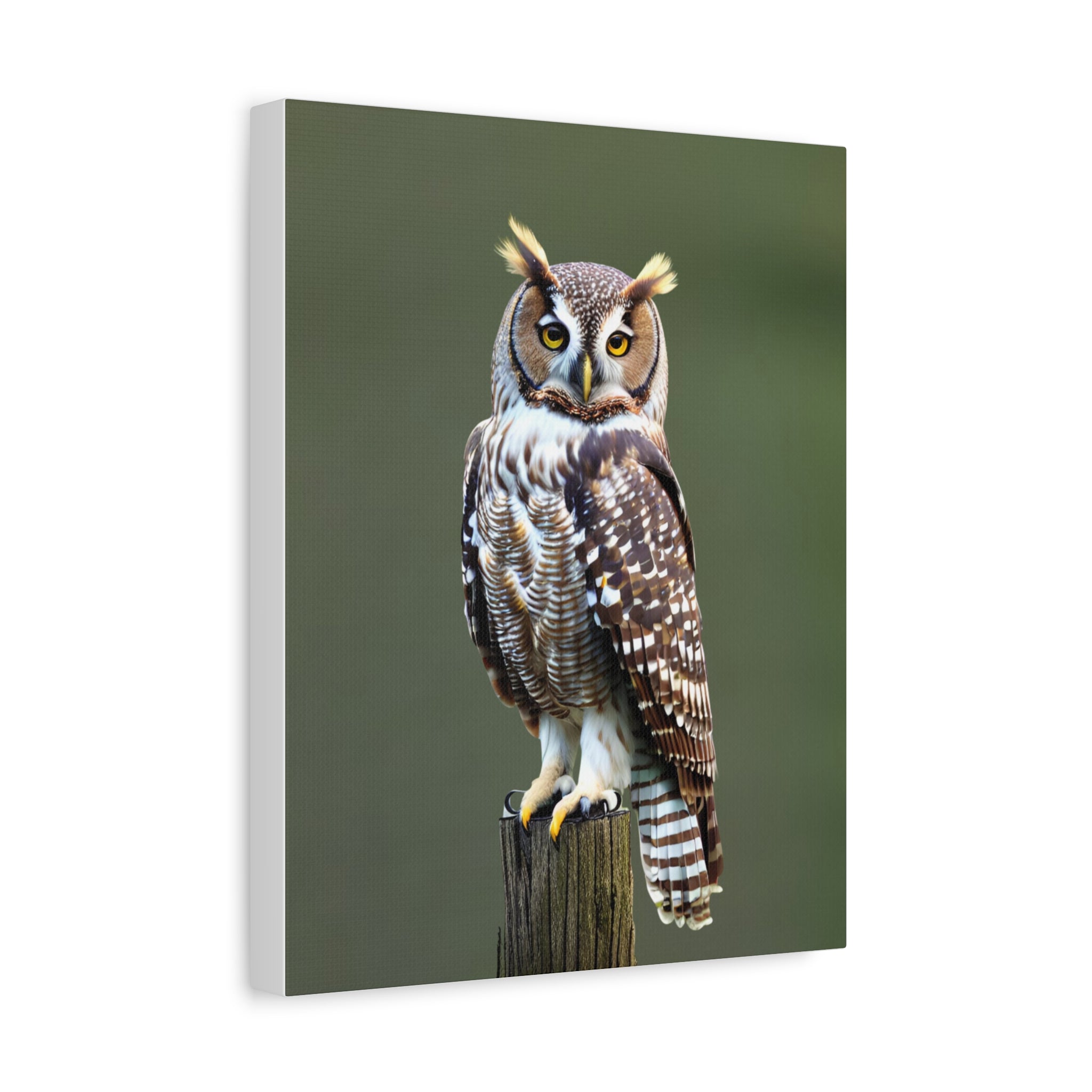 Wandbild Druck, Art.-Nr. T 00107 W